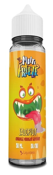 E-liquide Liquideo Multi Freeze Salopiot 50ml